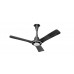 Ceiling Fans